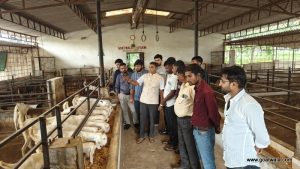 goatwala-training