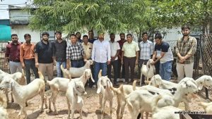 goatwala-training4