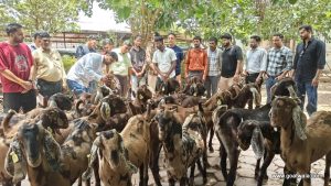 goatwala-training5